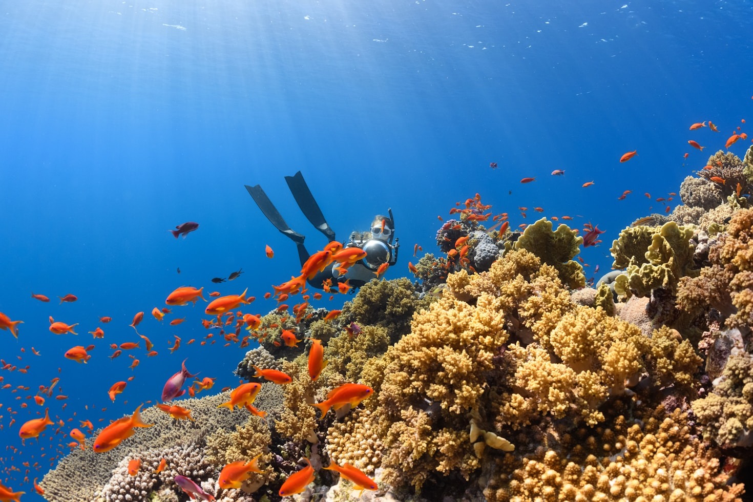 Volusia Reefs